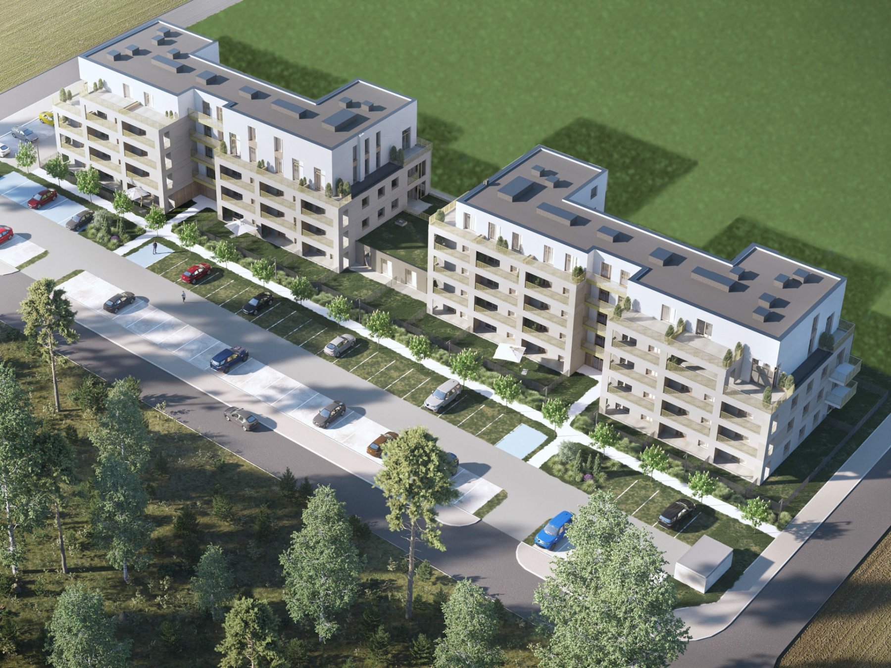 Apartamenty przy Lesie